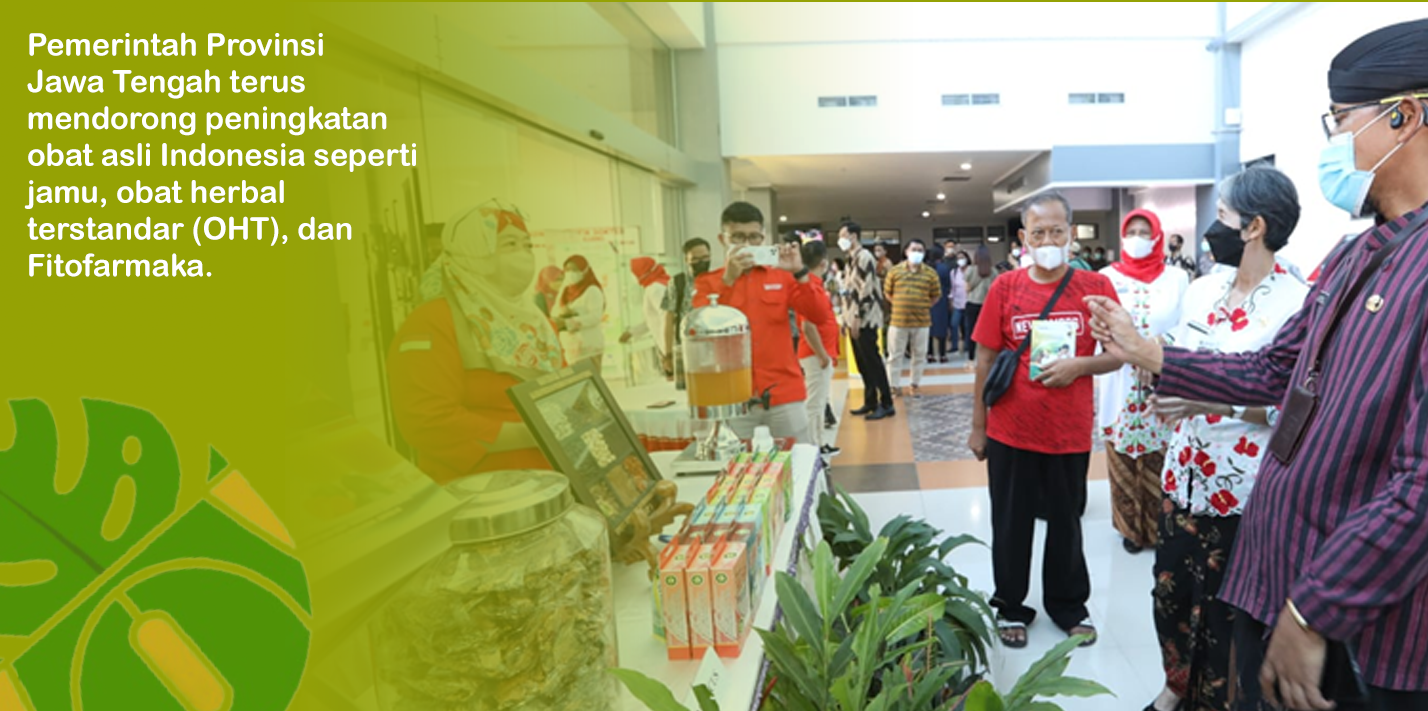 Pemerintah Jawa Tengah Dorong Pengembangan Obat Asli Indonesia